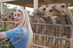 Anna Faith, wildlife, giraffe, plant: Instagram girls  