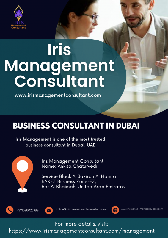 Business Consultant in Dubai: 