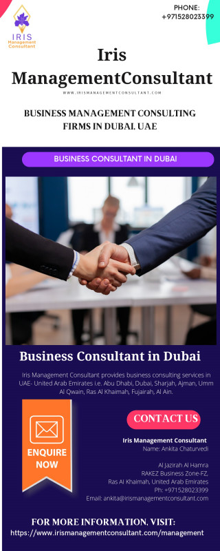 Business Consultant in Dubai: 