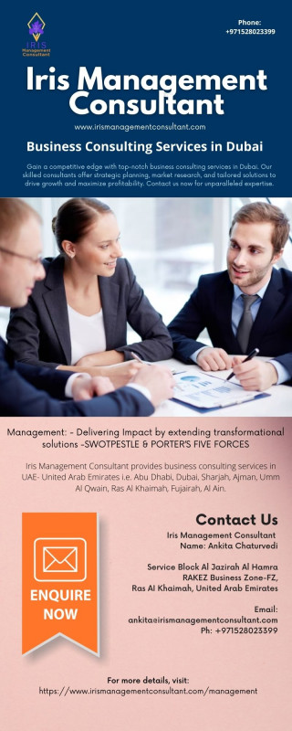 Business Consulting Services in Dubai: 