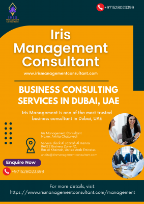 Business Consulting Services in Dubai: 