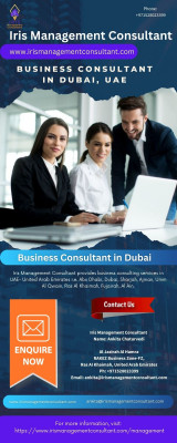Business Consultant in Dubai: 