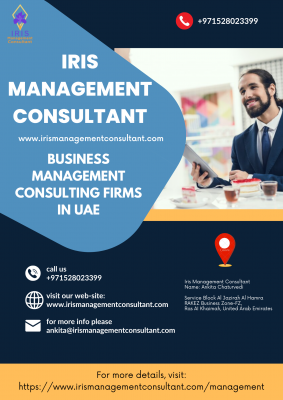 Business Management Consulting Firms in UAE: 