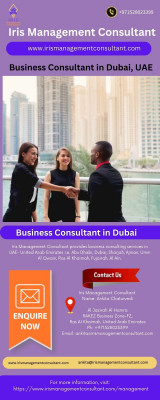 Business Consultant Dubai: 
