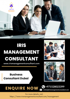 Business Consultant Dubai: 