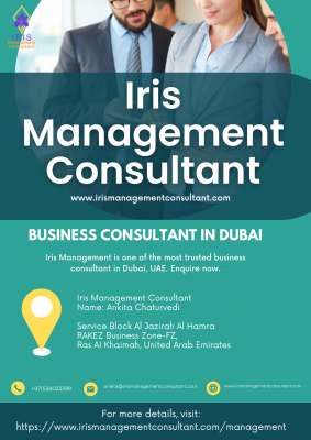Management Consultant in UAE: 