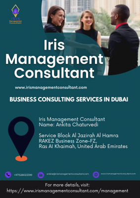 Business Consulting Services in Dubai: 