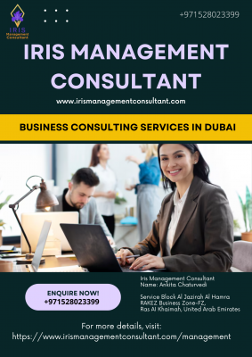 Business Consulting Services in Dubai: 