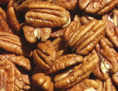 The Best Wholesale Pecan Suppliers: A Comprehensive Guide: 