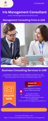 Management Consulting Firms in UAE: 