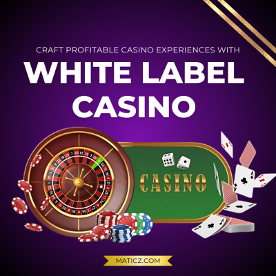 White label casino-Craft casino excellence: 