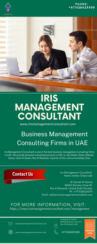 Business Management Consulting Firms in UAE