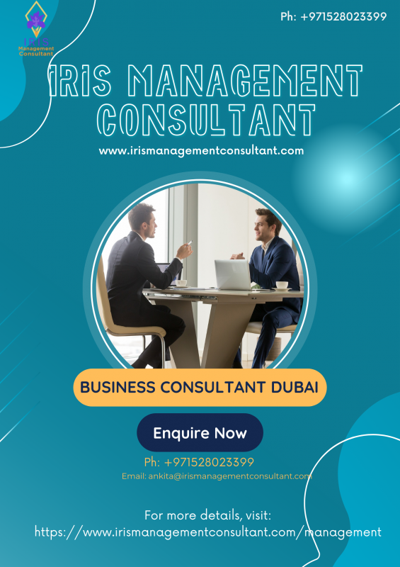 Business Consultant in Dubai: 