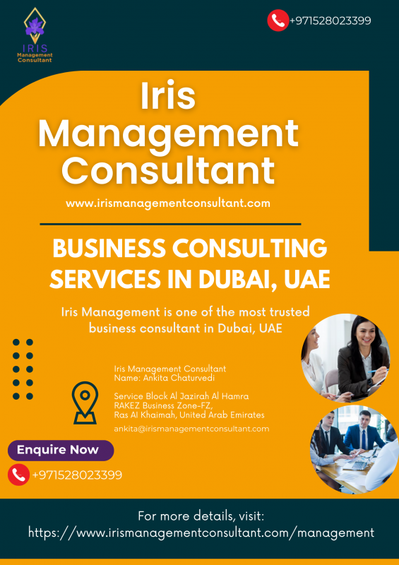 Business Consulting Services in Dubai: 