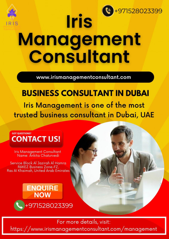 Business Consultant Dubai: 