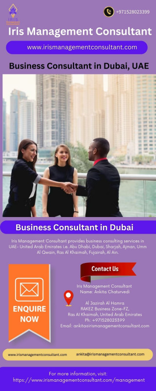 Business Consultant Dubai: 