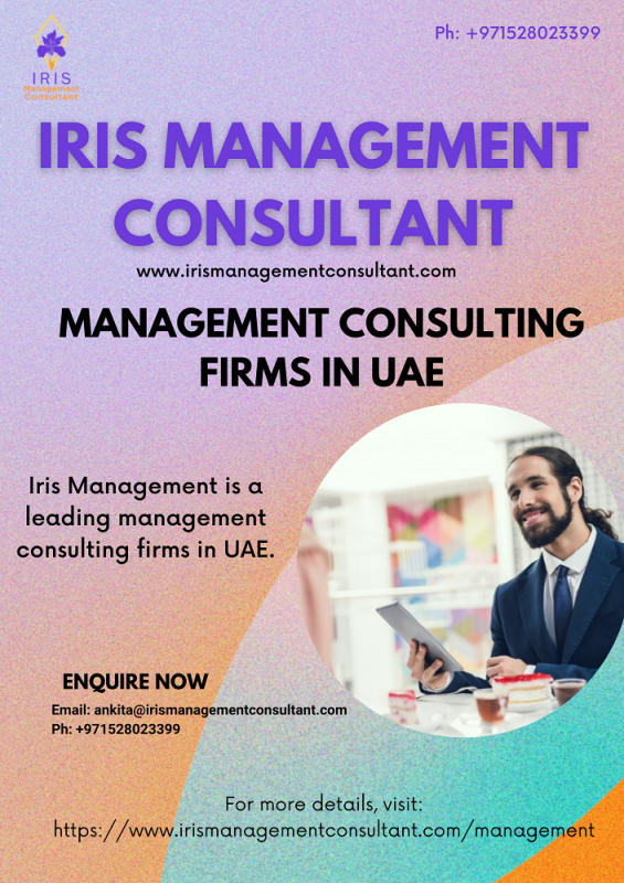 Management Consulting Firms in UAE: 