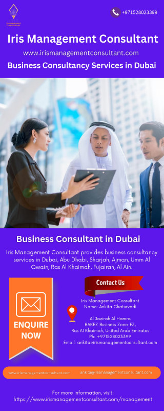 Business Consultancy Services in Dubai