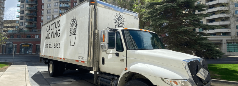 Seamless Cross-Border Transition: International Moving Experts: 