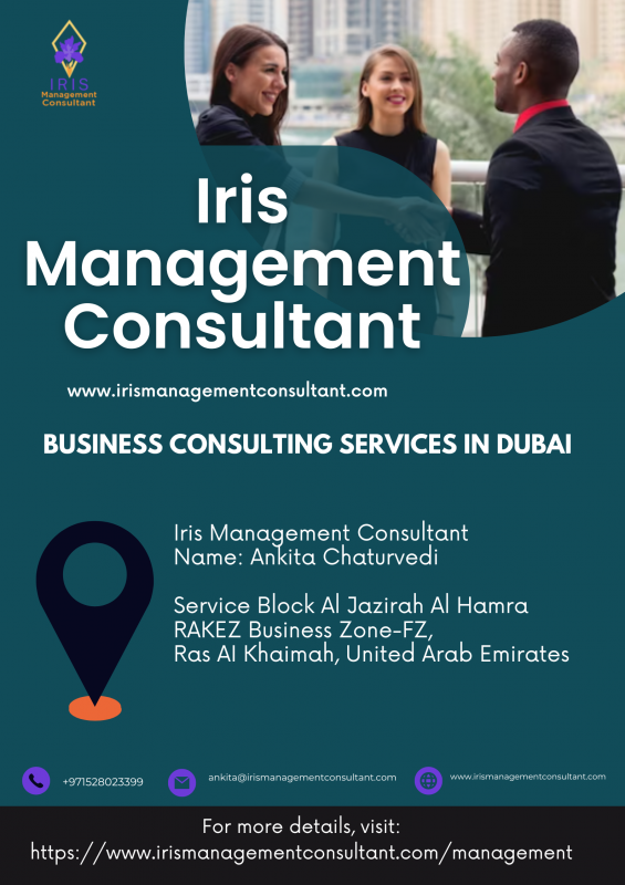 Business Consulting Services in Dubai: 