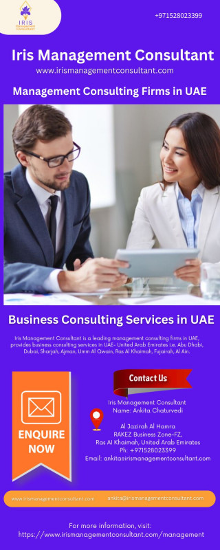 Management Consulting Firms in UAE: 