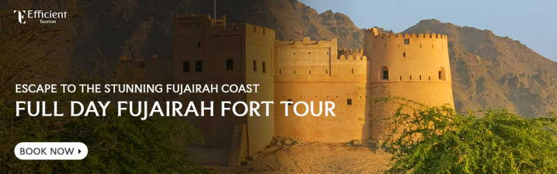 Full Day Fujairah East Coast Tour
