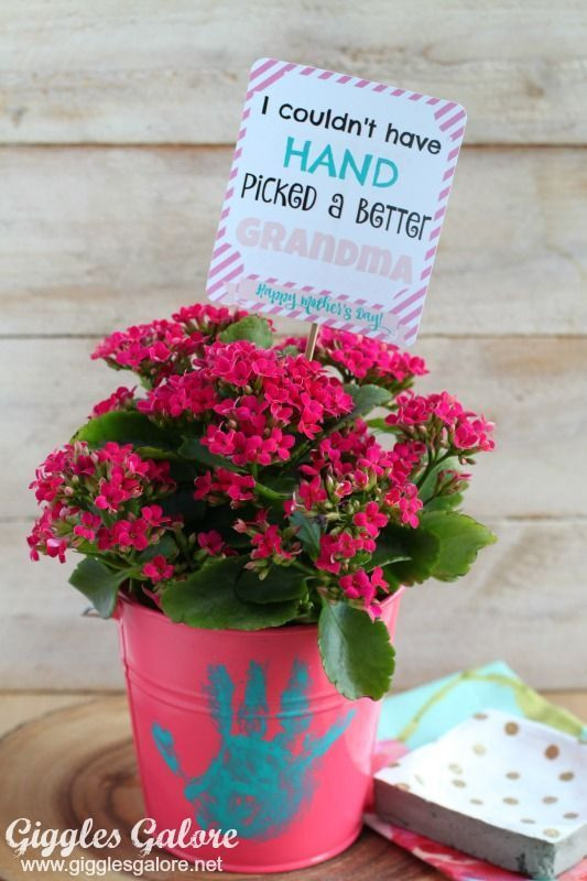 It's the perfect Mother's Day gift for Grandma!: 